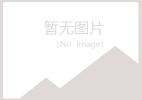 东阿县冰夏建筑有限公司